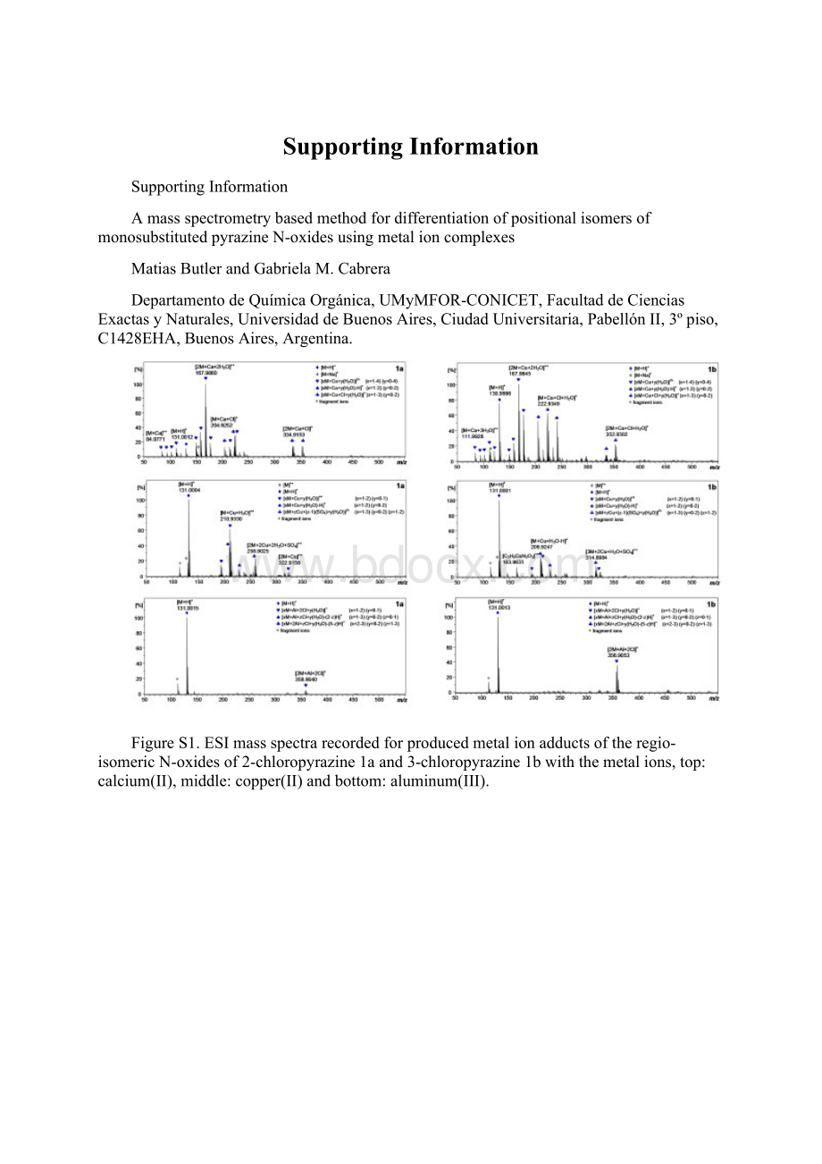 Supporting InformationWord格式文档下载.docx