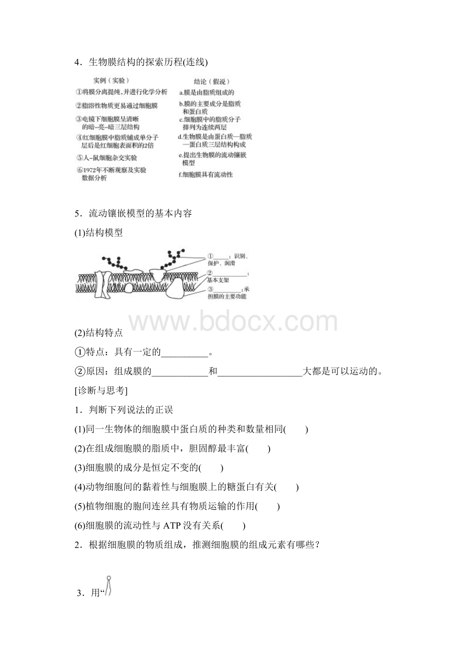 细胞膜与细胞核学案.docx_第2页