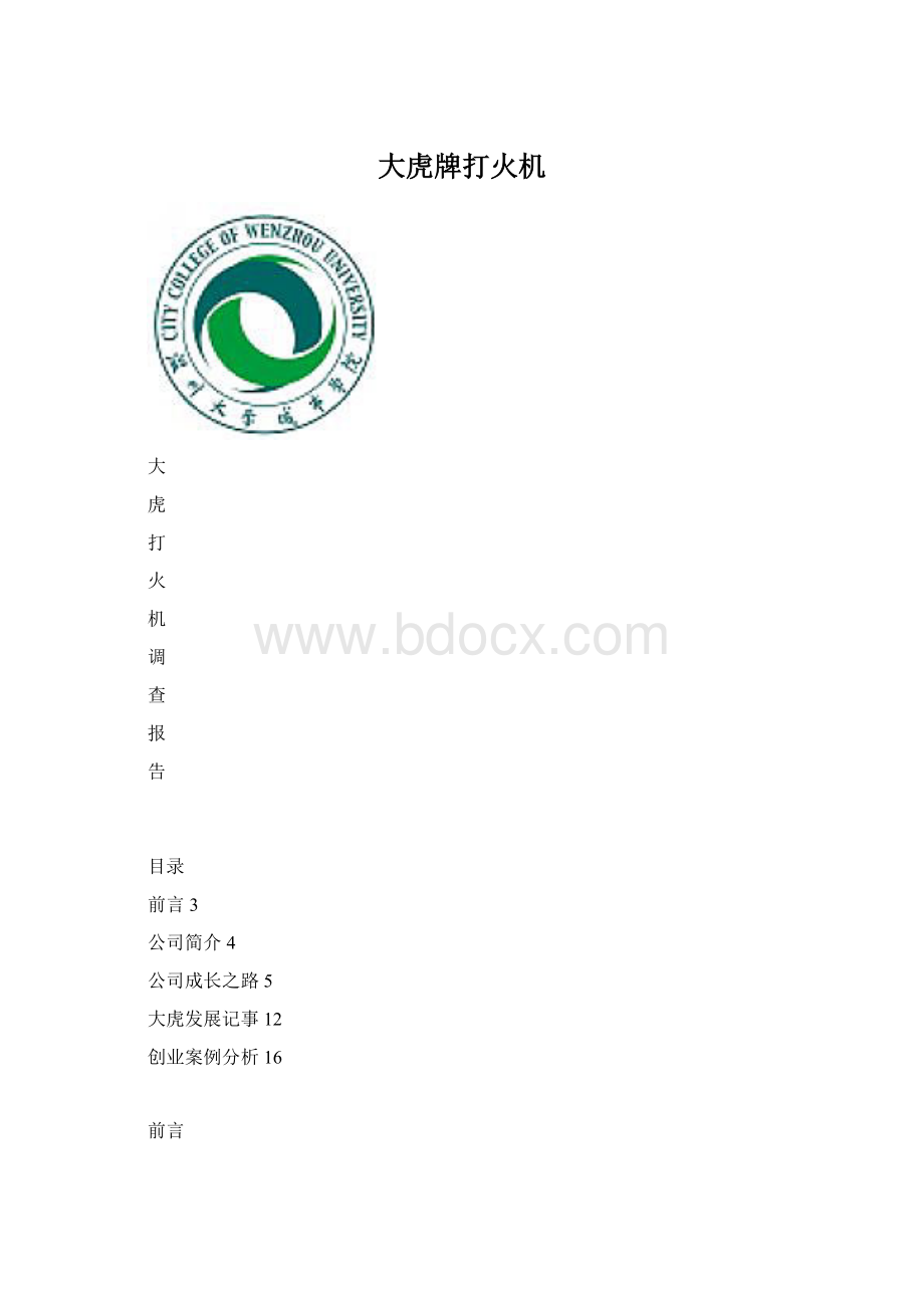 大虎牌打火机Word格式文档下载.docx