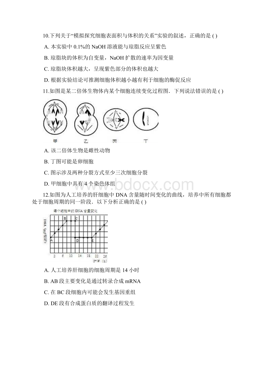 届高三生物全国模拟考试题汇编细胞的增殖.docx_第3页