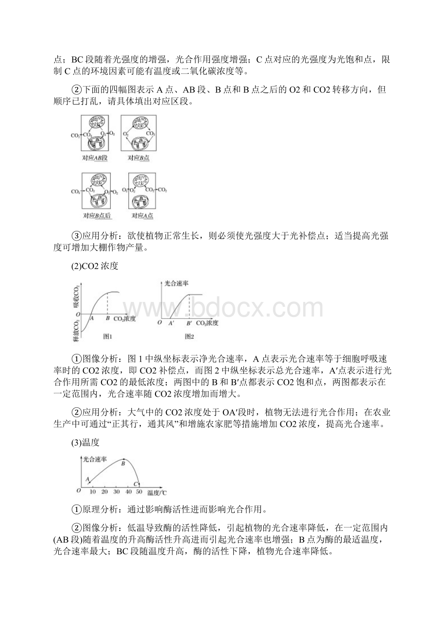 版高考生物一轮总复习第二单元细胞的代谢第9讲光合作用Ⅱ学案.docx_第2页