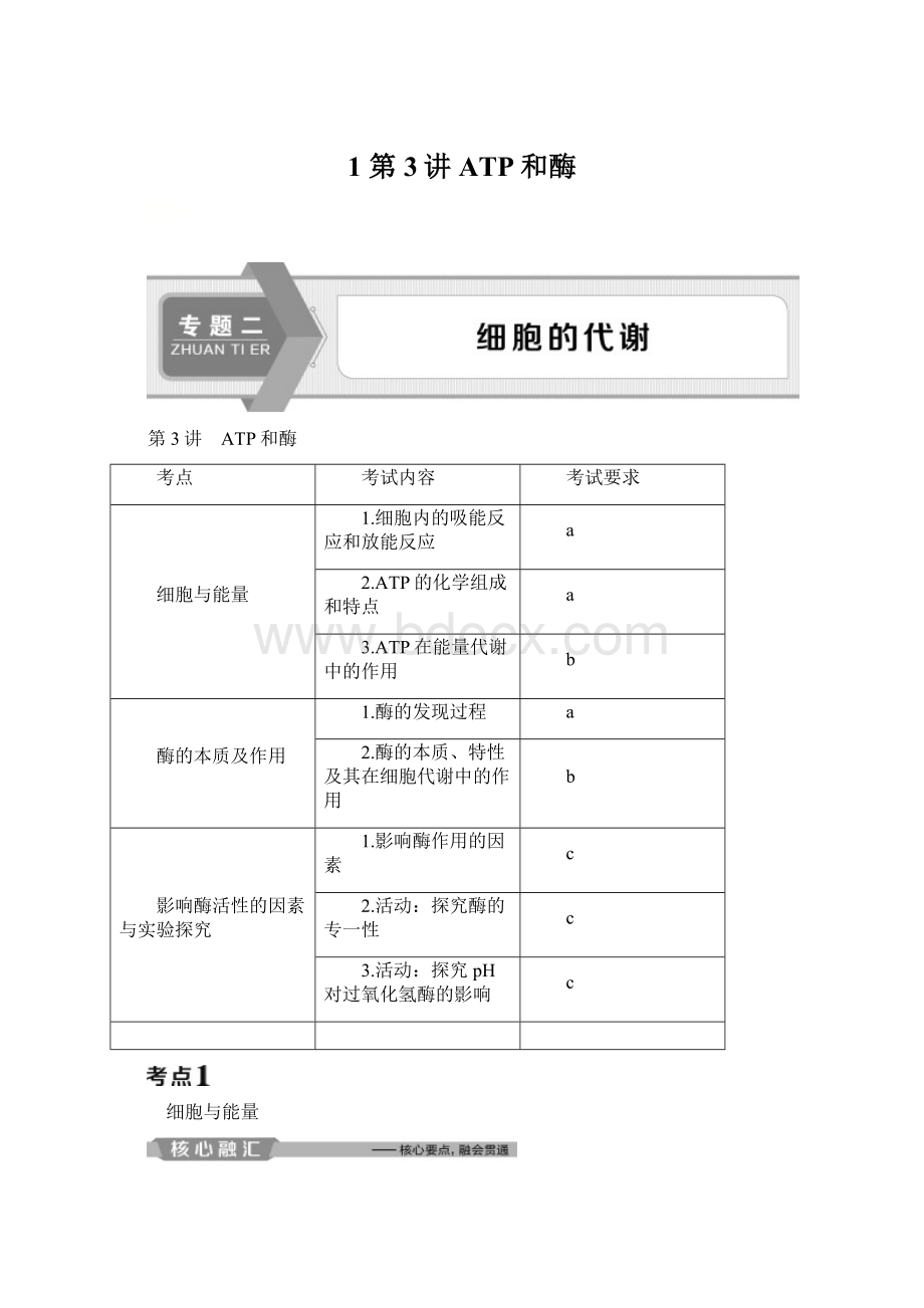 1 第3讲 ATP和酶文档格式.docx_第1页