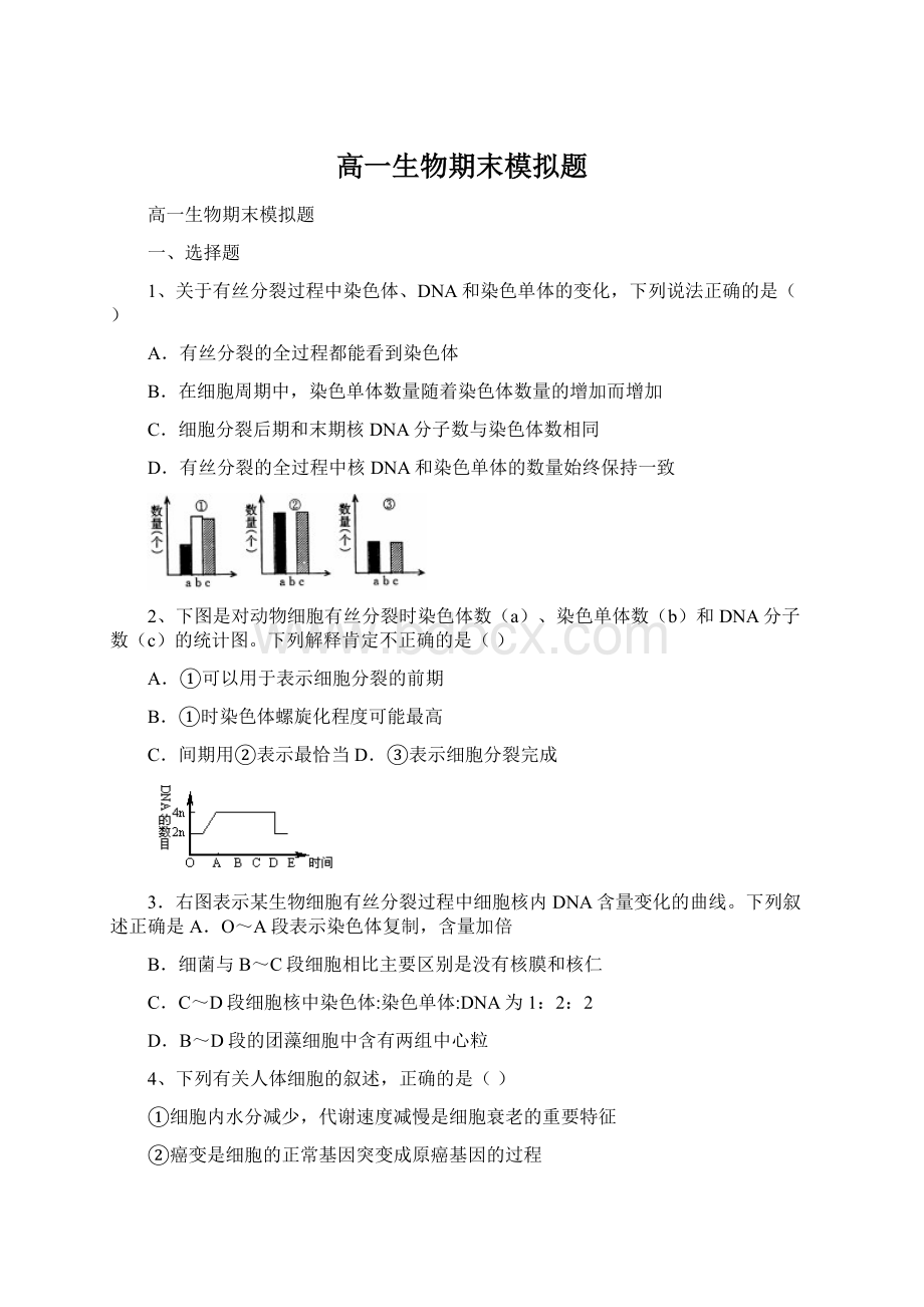 高一生物期末模拟题Word下载.docx_第1页