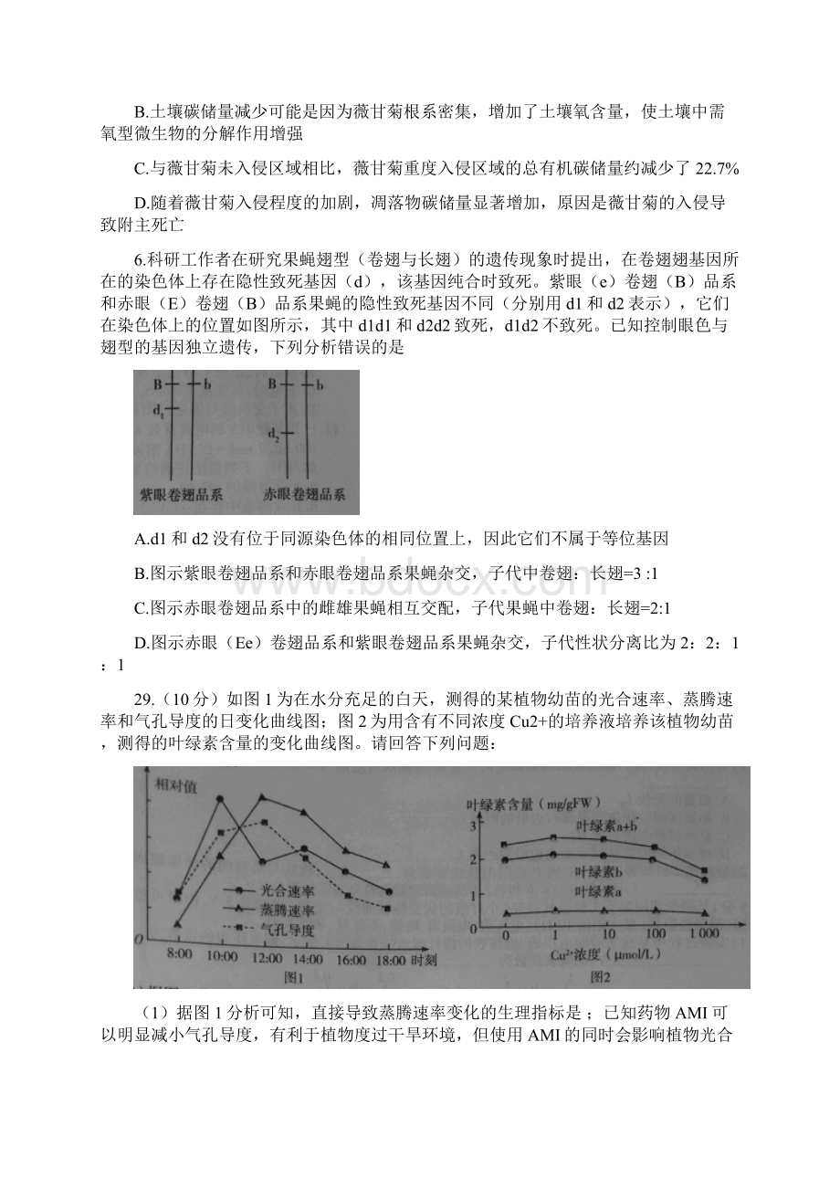 河南省天一大联考学年高中毕业班阶段性测试四理综生物试题 Word版含答案.docx_第3页