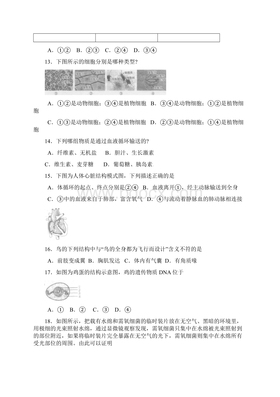 山东省日照市会考生物试题汇总.docx_第3页