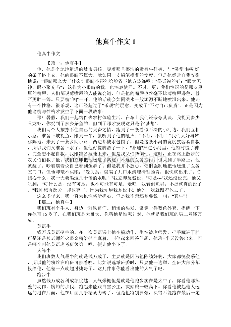 他真牛作文1文档格式.docx_第1页