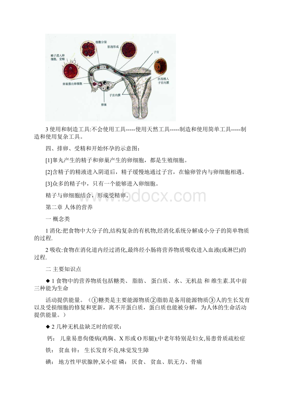 七下生物复习提纲文档格式.docx_第2页