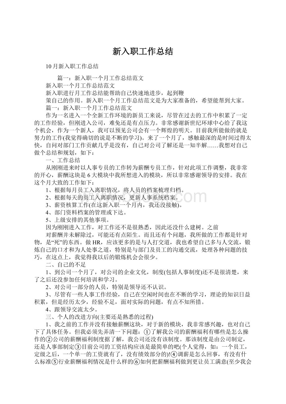 新入职工作总结文档格式.docx_第1页