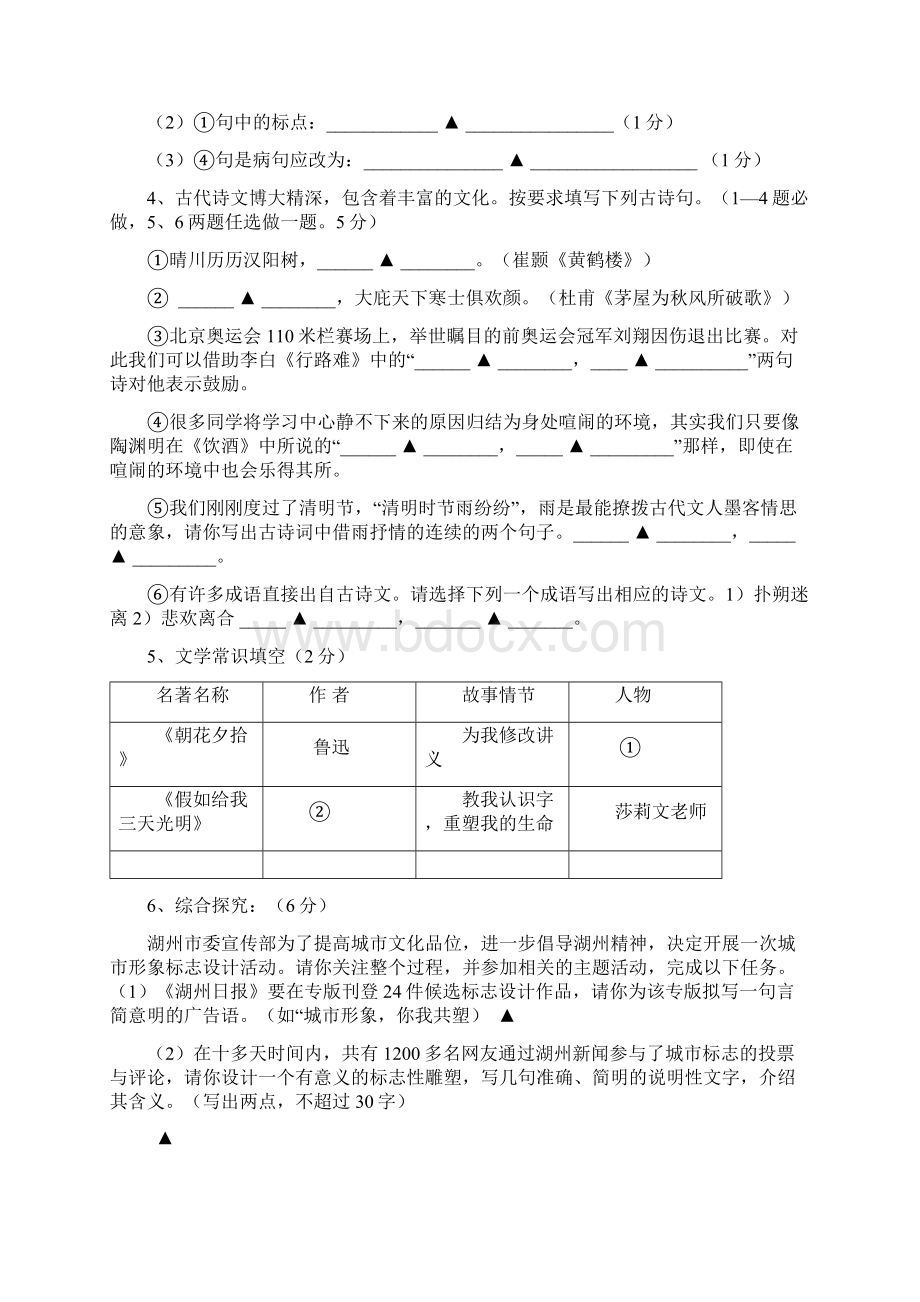 中考最后的复习全真语文卷模拟120满分.docx_第2页