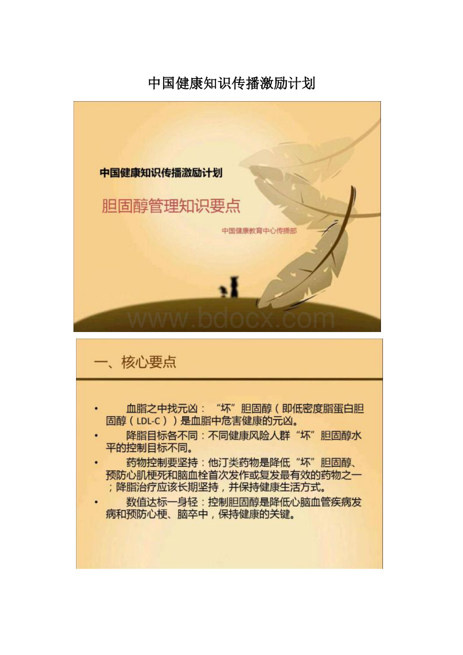 中国健康知识传播激励计划.docx_第1页