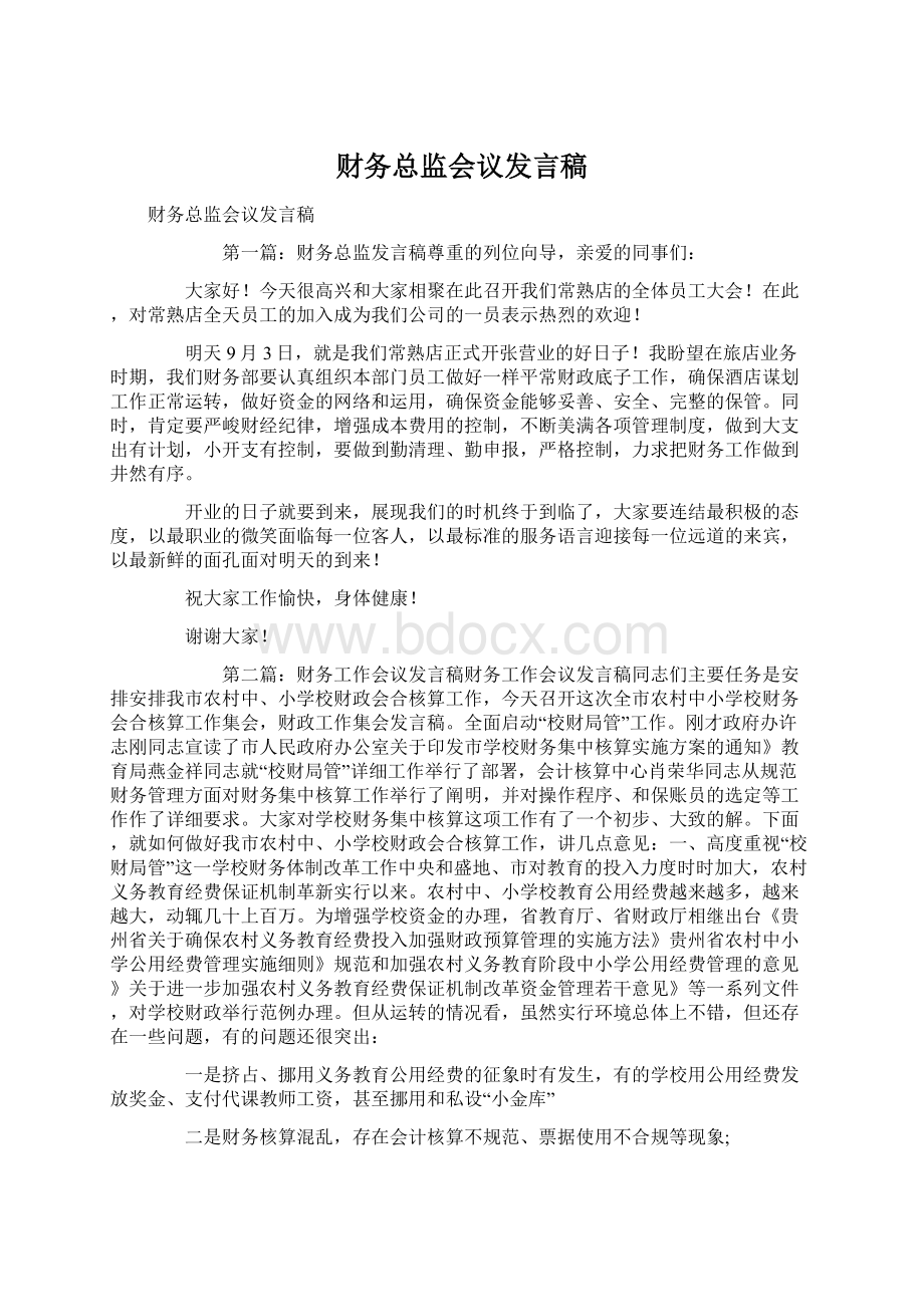 财务总监会议发言稿Word文档下载推荐.docx