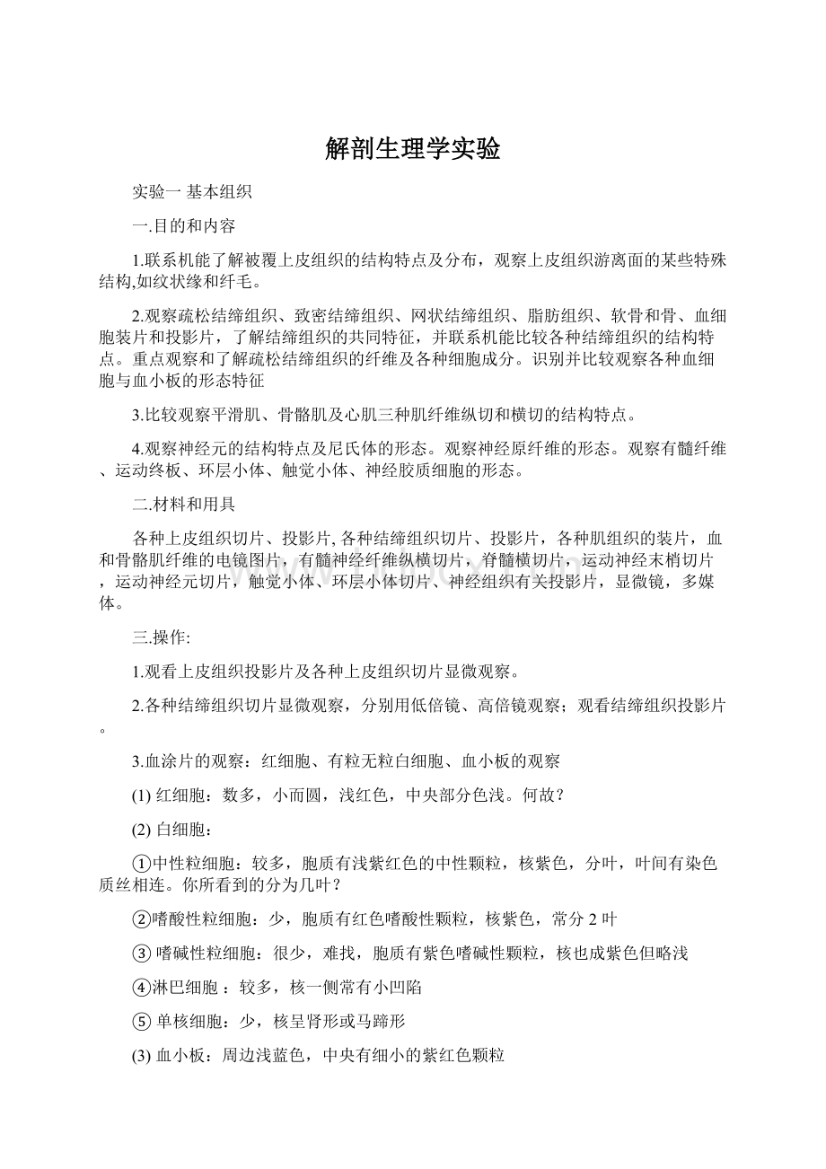 解剖生理学实验文档格式.docx