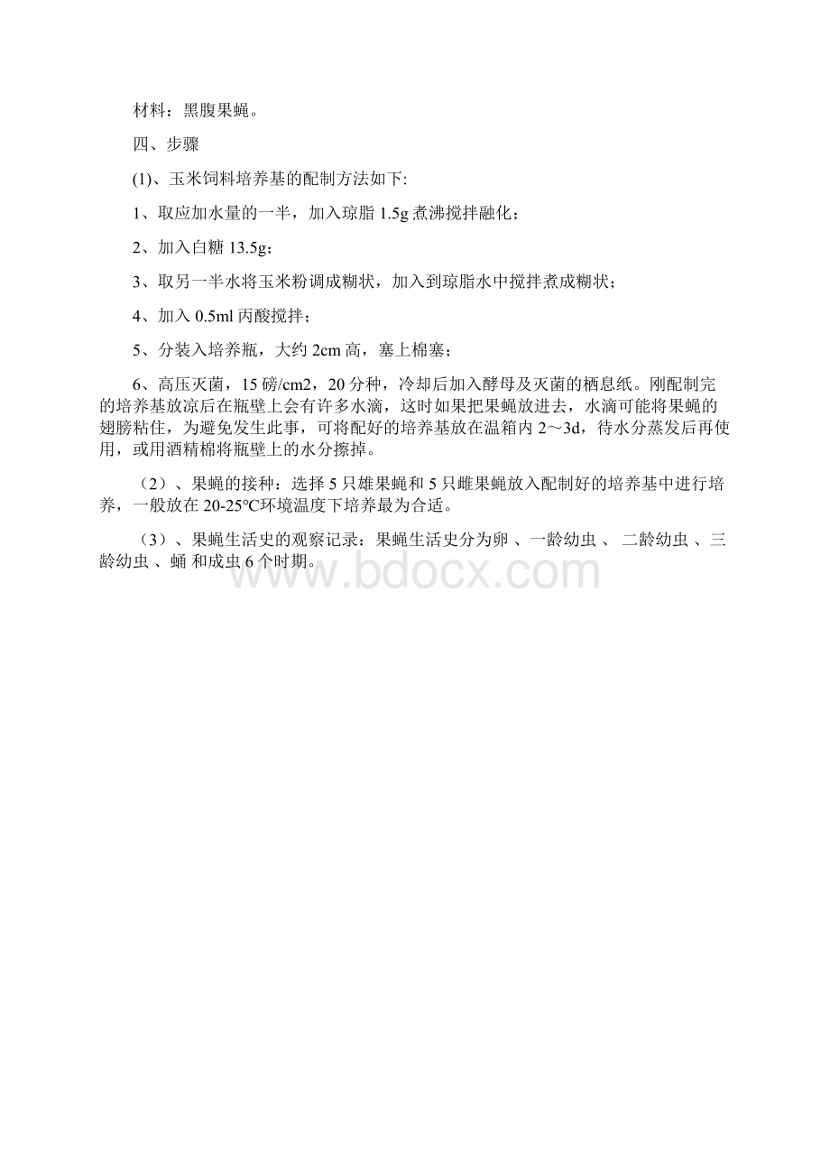 实验一普通果蝇形态与生活史观察.docx_第3页