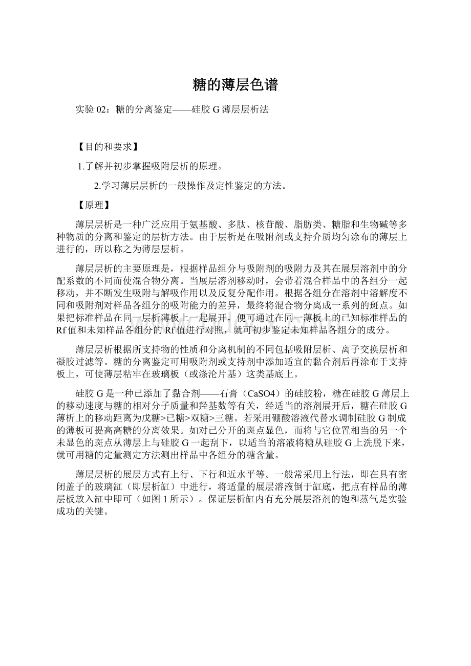 糖的薄层色谱Word文件下载.docx