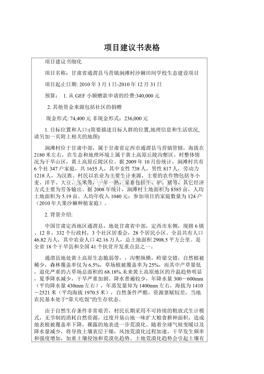 项目建议书表格Word文档格式.docx