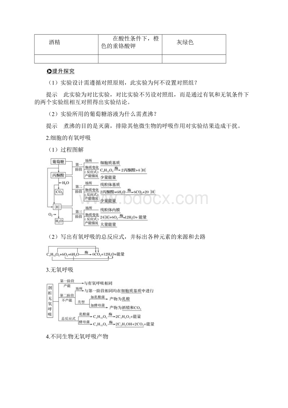 版高考生物创新一轮复习备考苏教版讲义第三单元 光合作用与细胞呼吸 第9讲 Word版含答案Word格式.docx_第2页