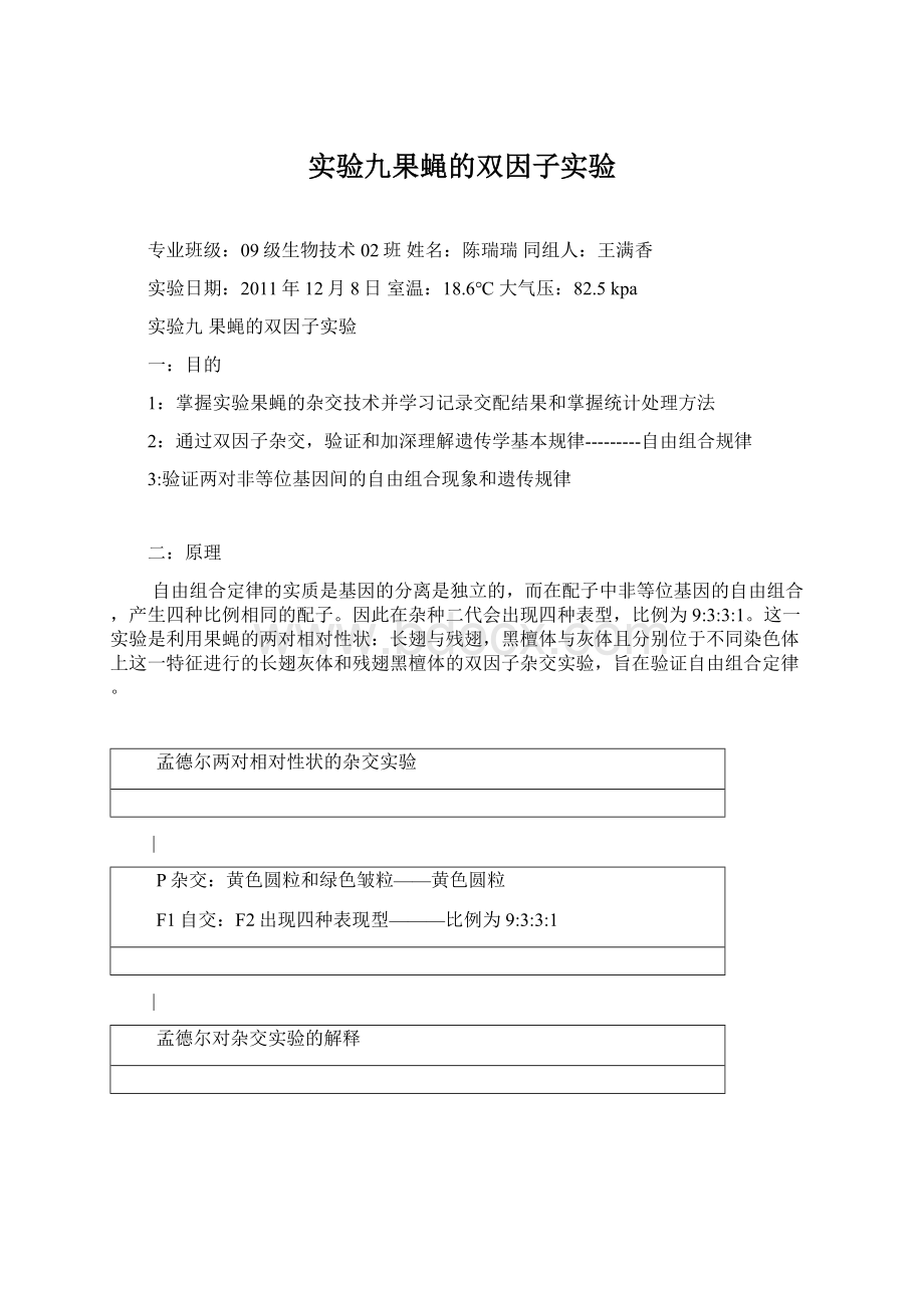 实验九果蝇的双因子实验.docx