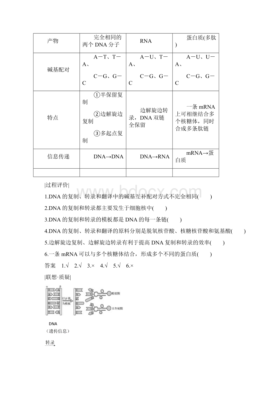 新课改地区学年高中生物第4章第1节第2课时DNA复制转录翻译的比较及相关计算学案新人教版必修2.docx_第2页