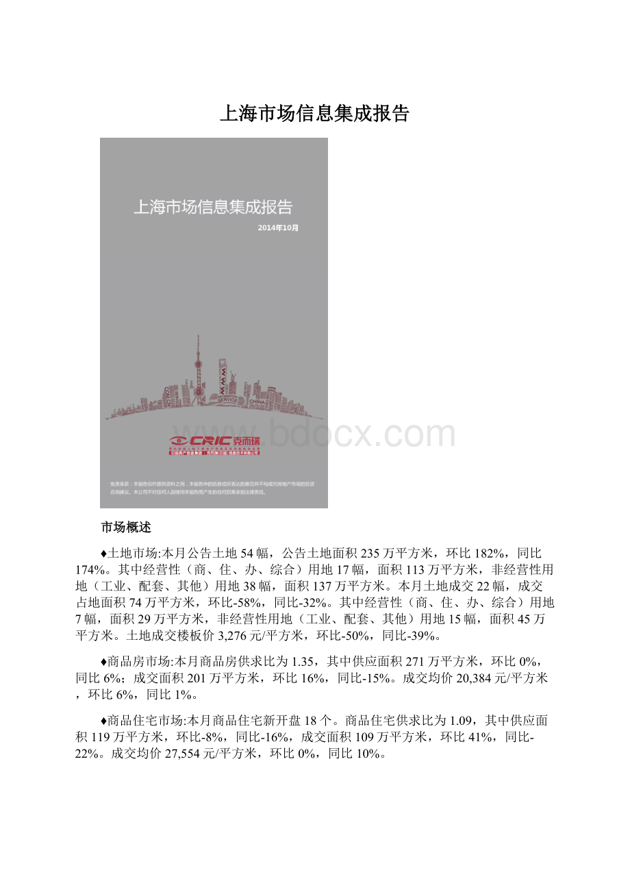 上海市场信息集成报告Word格式.docx_第1页