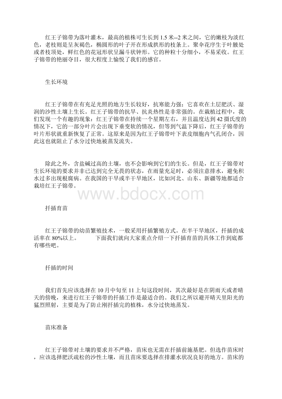 红王子锦带的栽培技术Word文档格式.docx_第2页