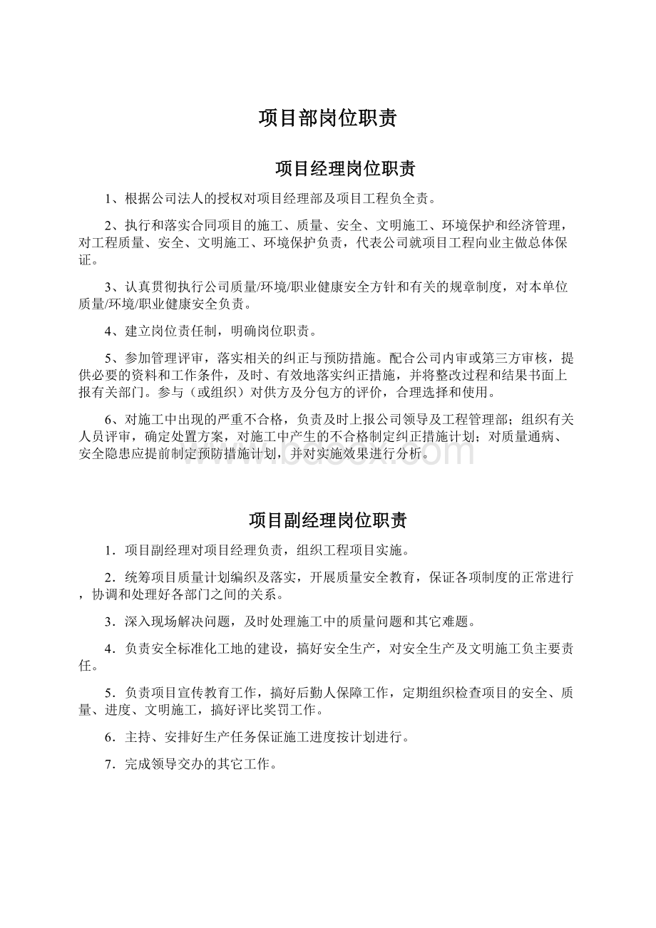 项目部岗位职责Word文档格式.docx