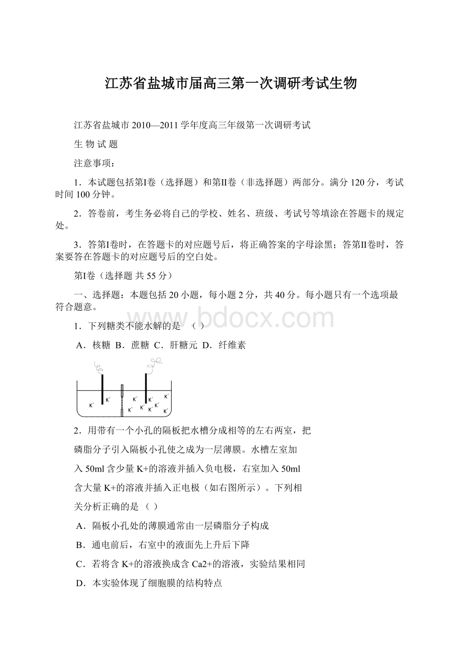 江苏省盐城市届高三第一次调研考试生物Word格式.docx_第1页