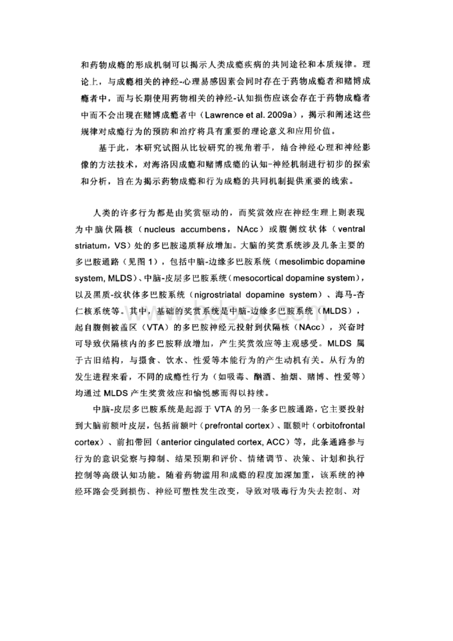 成瘾与大脑奖赏系统分析.docx_第2页