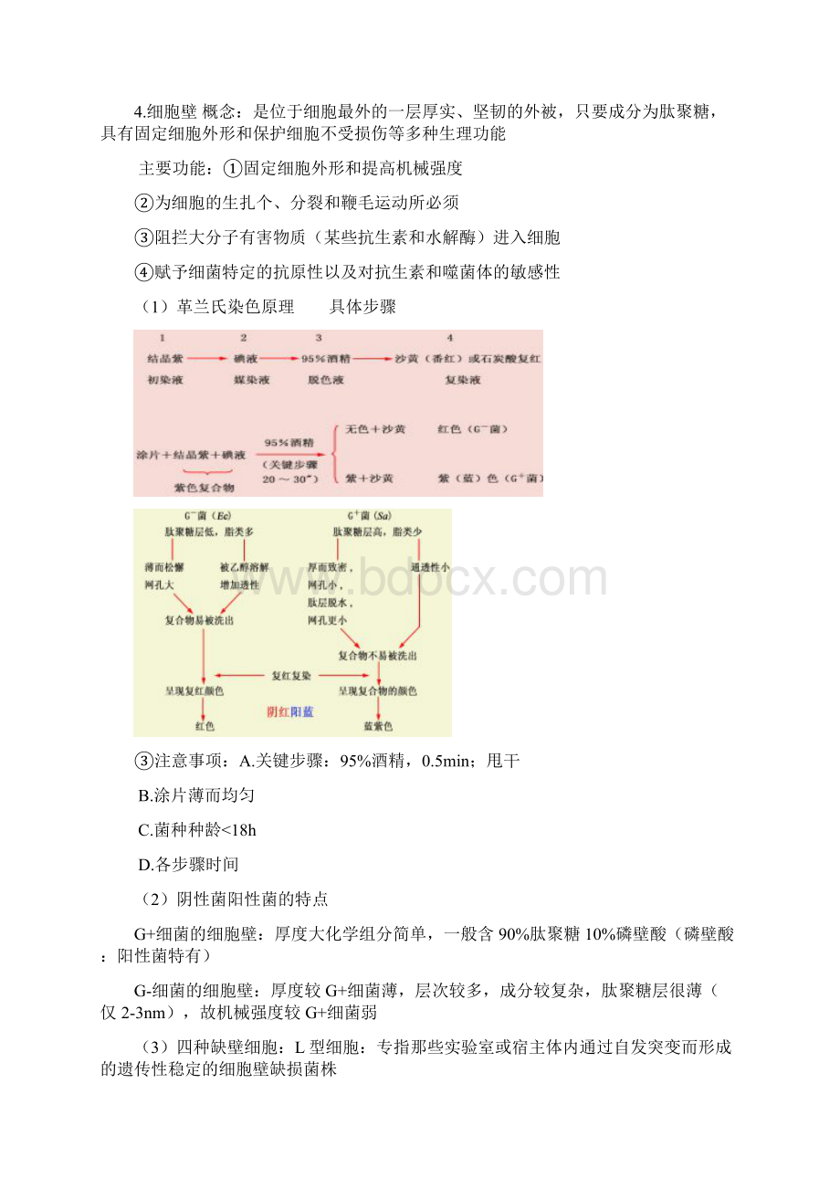 微生物重点复习微生物学教程周德庆.docx_第2页