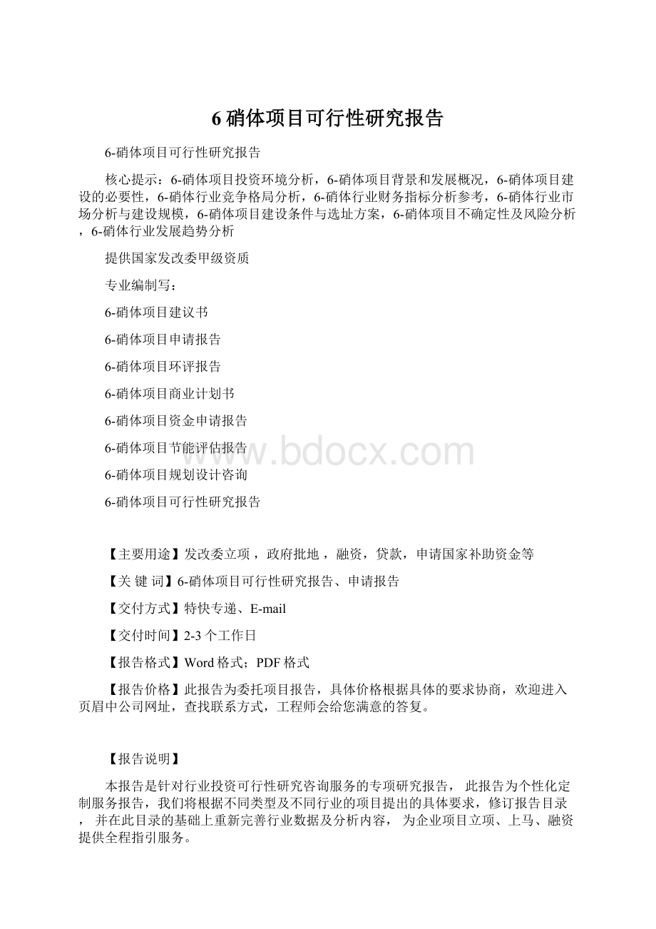 6硝体项目可行性研究报告.docx_第1页