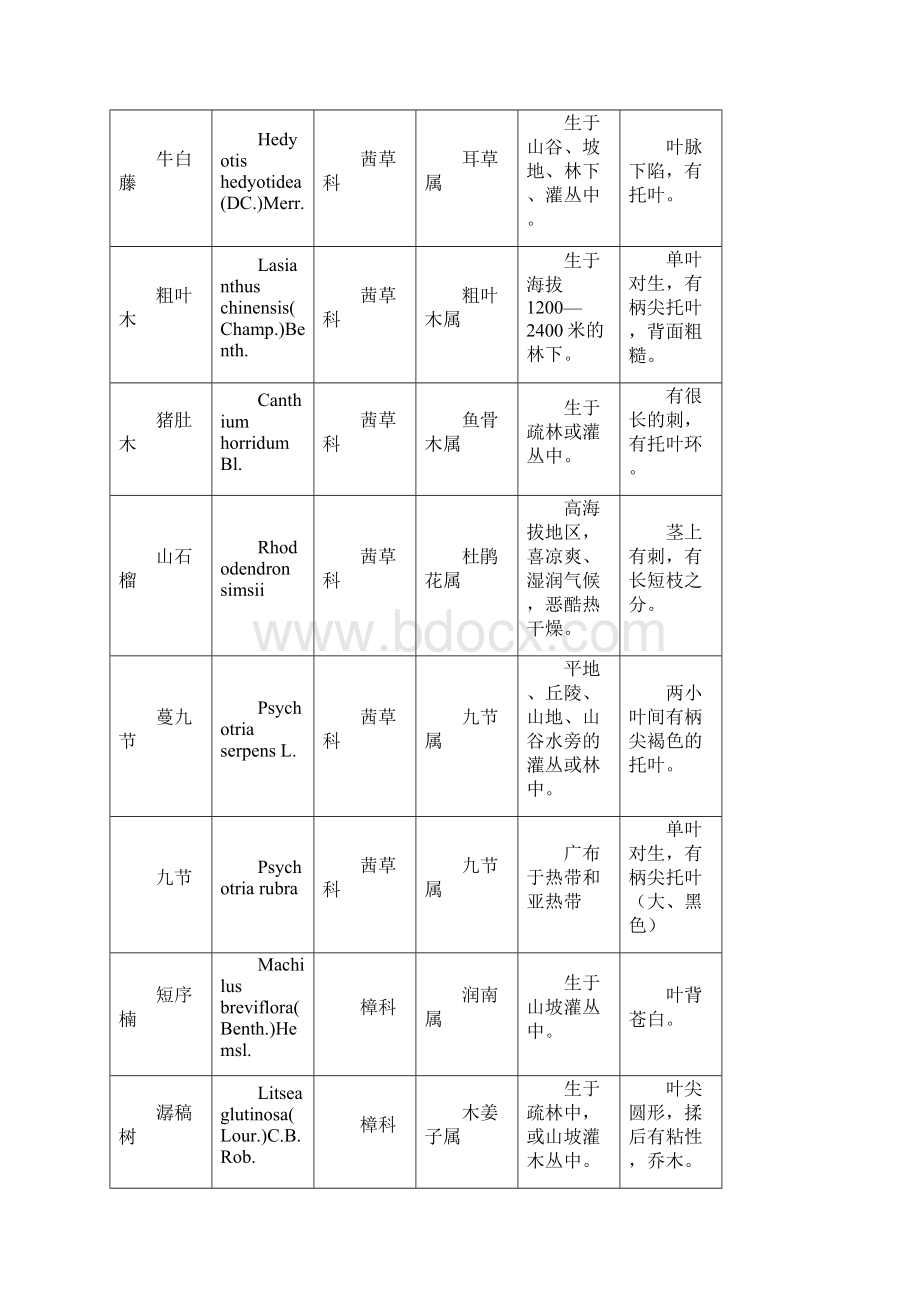 鼎湖山植物生境.docx_第3页