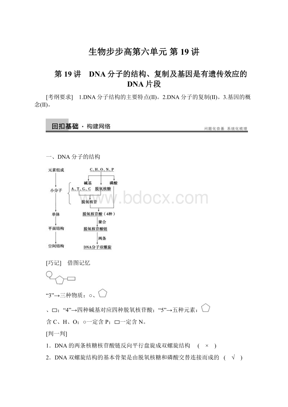 生物步步高第六单元 第19讲.docx