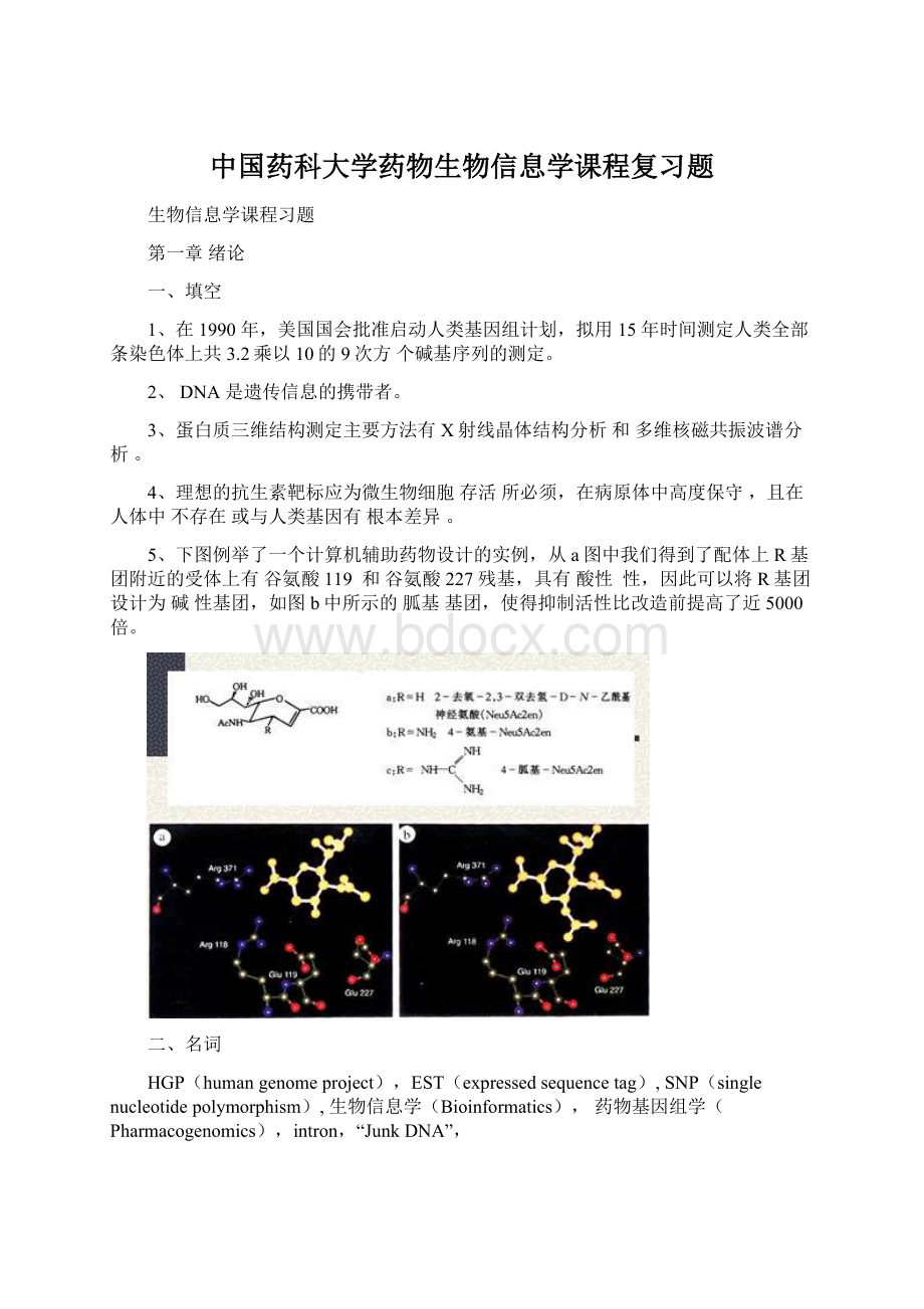 中国药科大学药物生物信息学课程复习题.docx