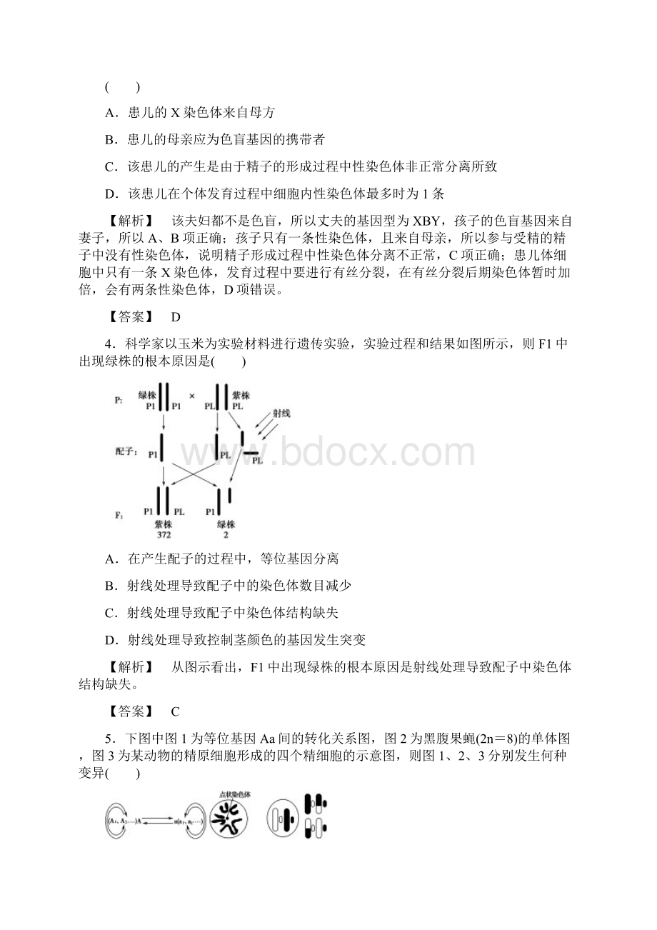 版 分层提能限时练21 染色体变异与人类遗传病Word文件下载.docx_第2页