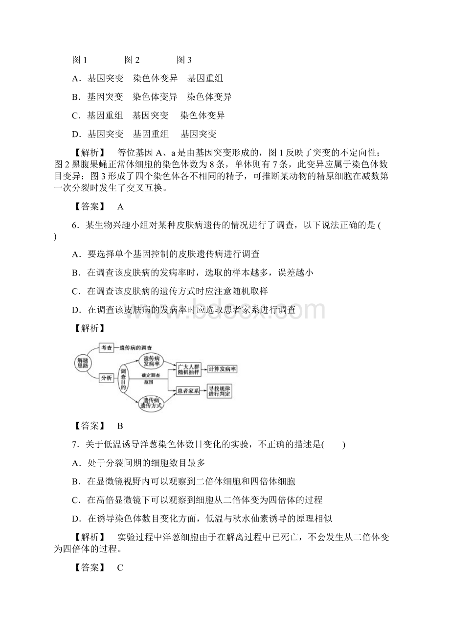 版 分层提能限时练21 染色体变异与人类遗传病Word文件下载.docx_第3页