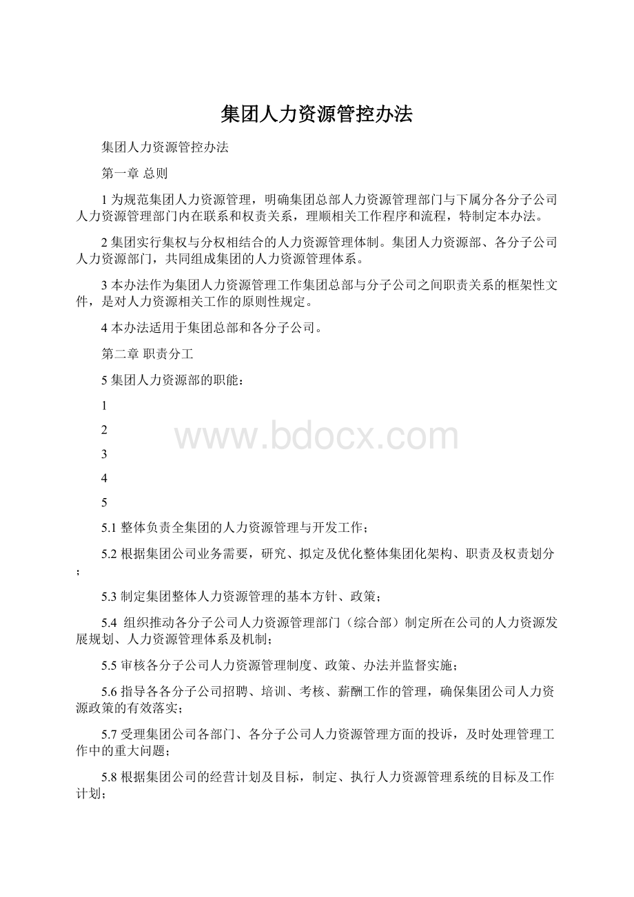 集团人力资源管控办法.docx_第1页