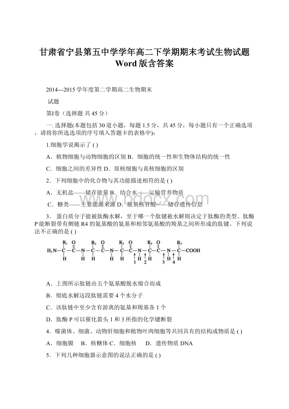 甘肃省宁县第五中学学年高二下学期期末考试生物试题 Word版含答案文档格式.docx