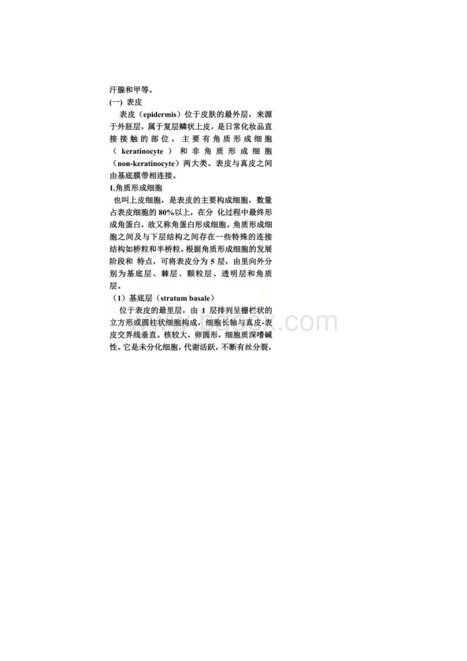 皮肤的解剖结构Word文档格式.docx_第2页