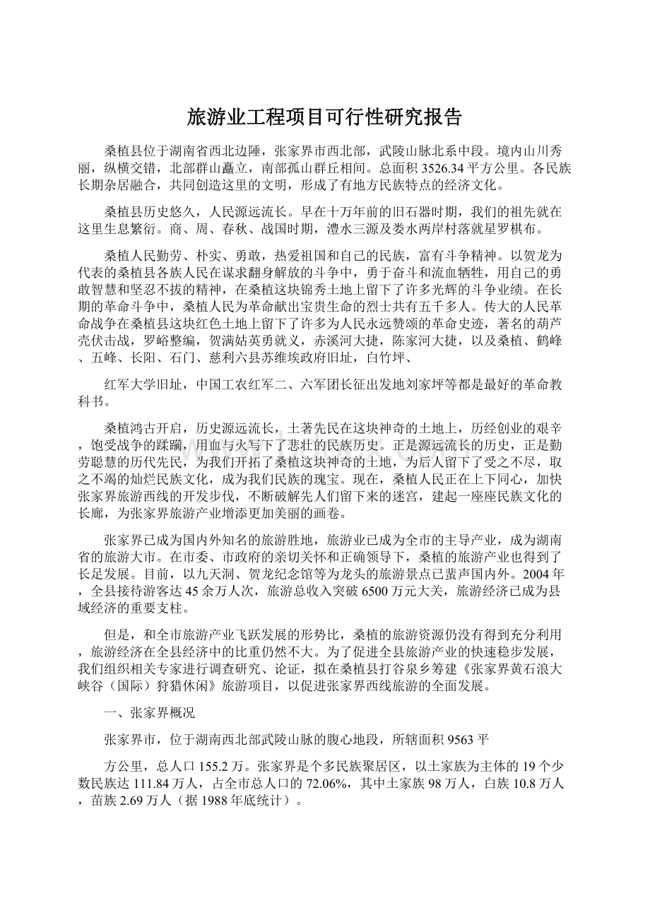 旅游业工程项目可行性研究报告.docx