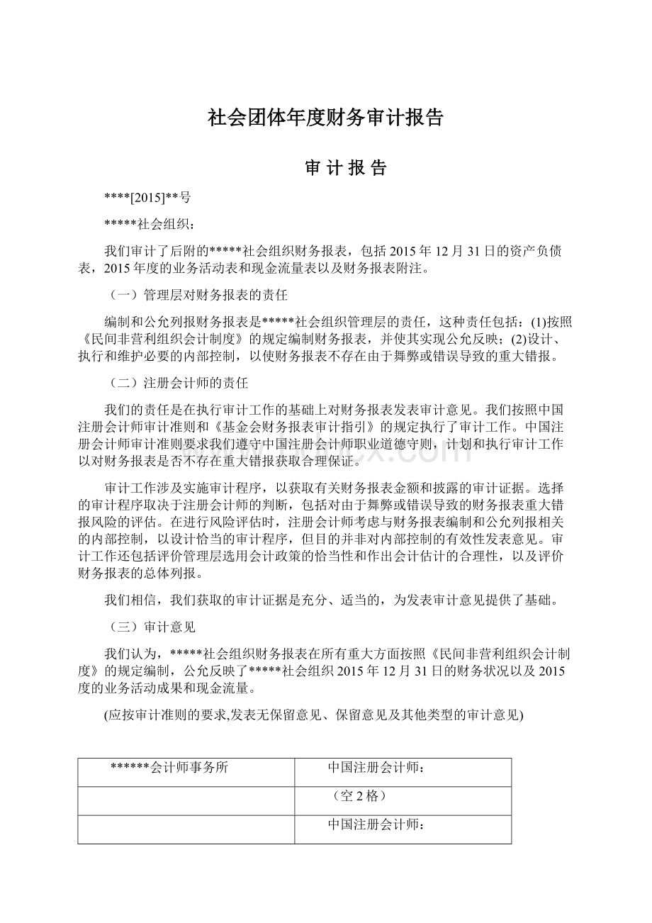 社会团体年度财务审计报告.docx_第1页