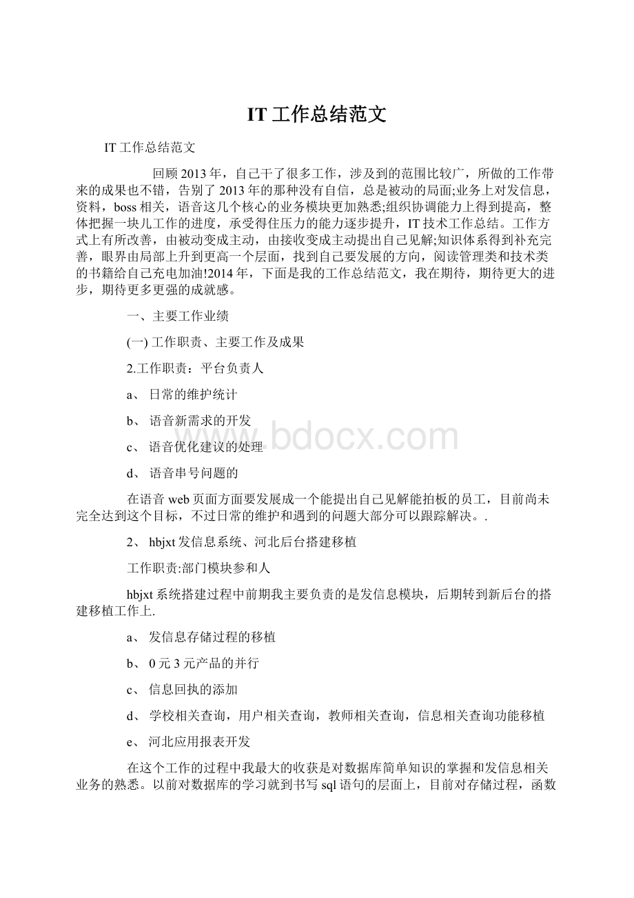 IT工作总结范文文档格式.docx