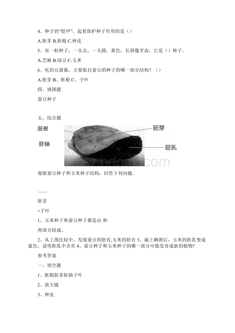 教科版四年级科学下册第一单元《植物的生长变化》练习30页Word下载.docx_第2页