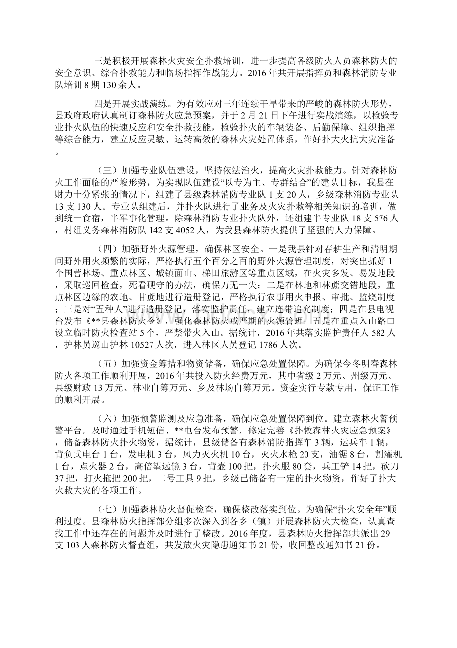 森林防火工作总结及工作计划.docx_第2页