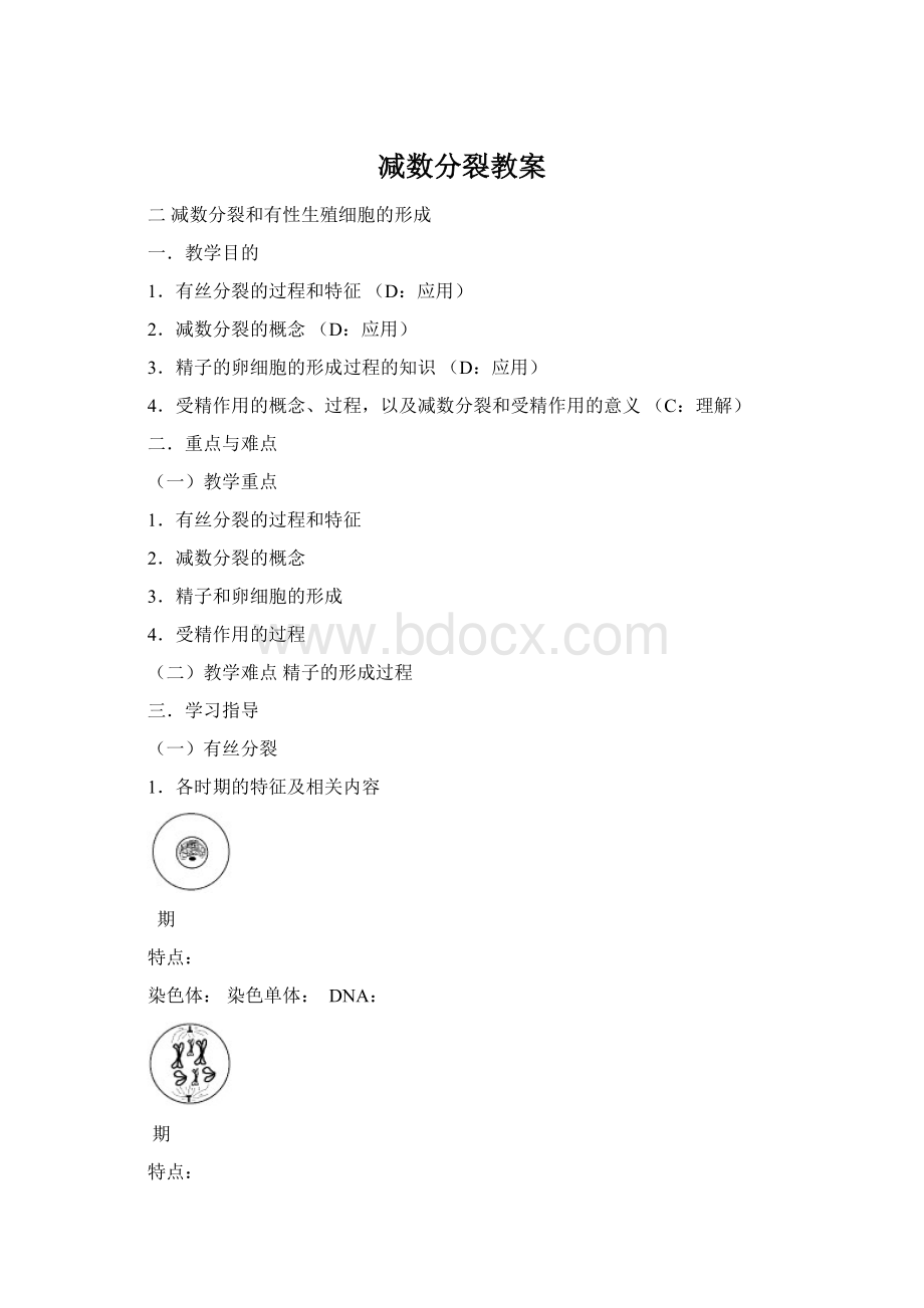 减数分裂教案.docx_第1页