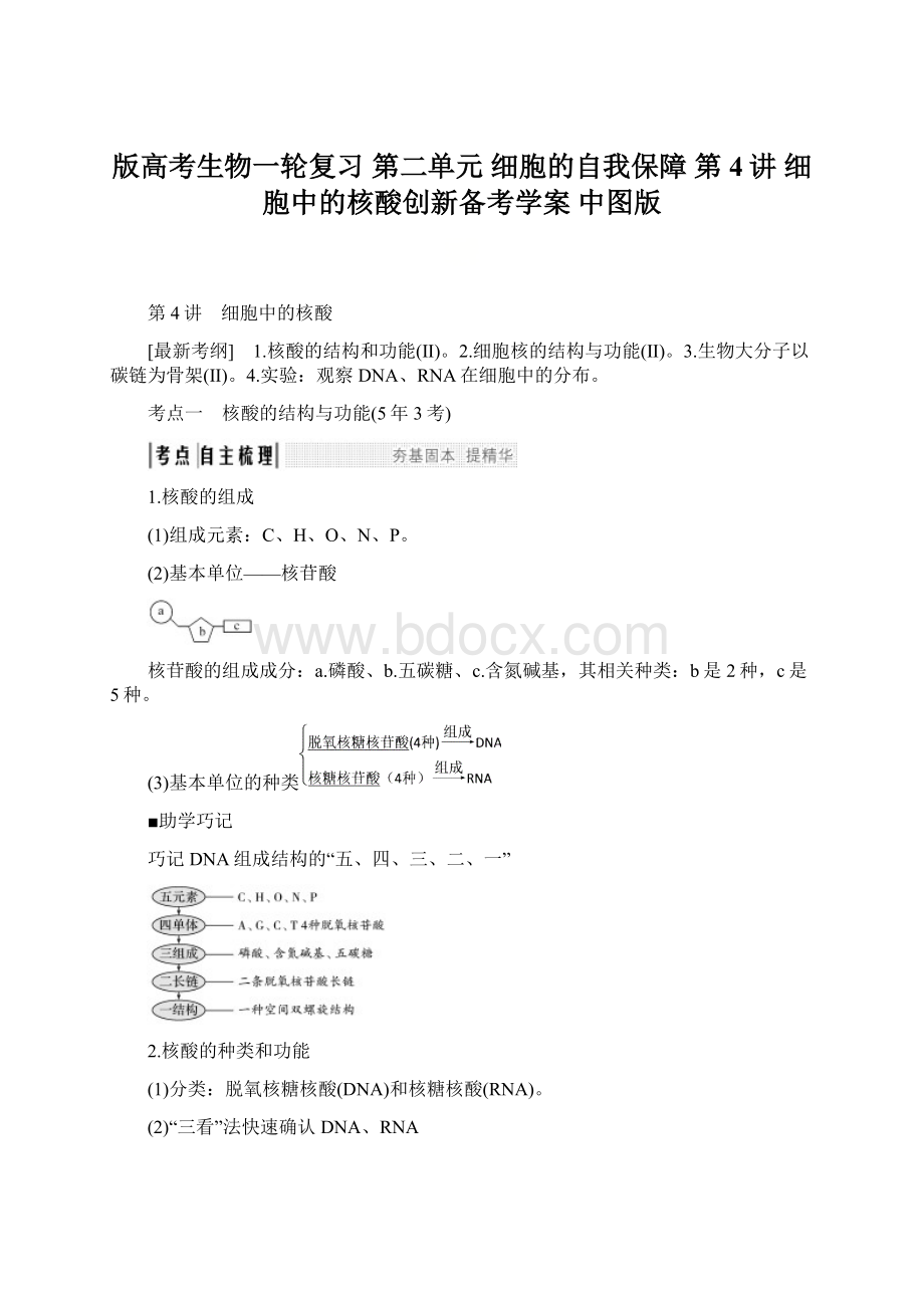 版高考生物一轮复习 第二单元 细胞的自我保障 第4讲 细胞中的核酸创新备考学案 中图版.docx