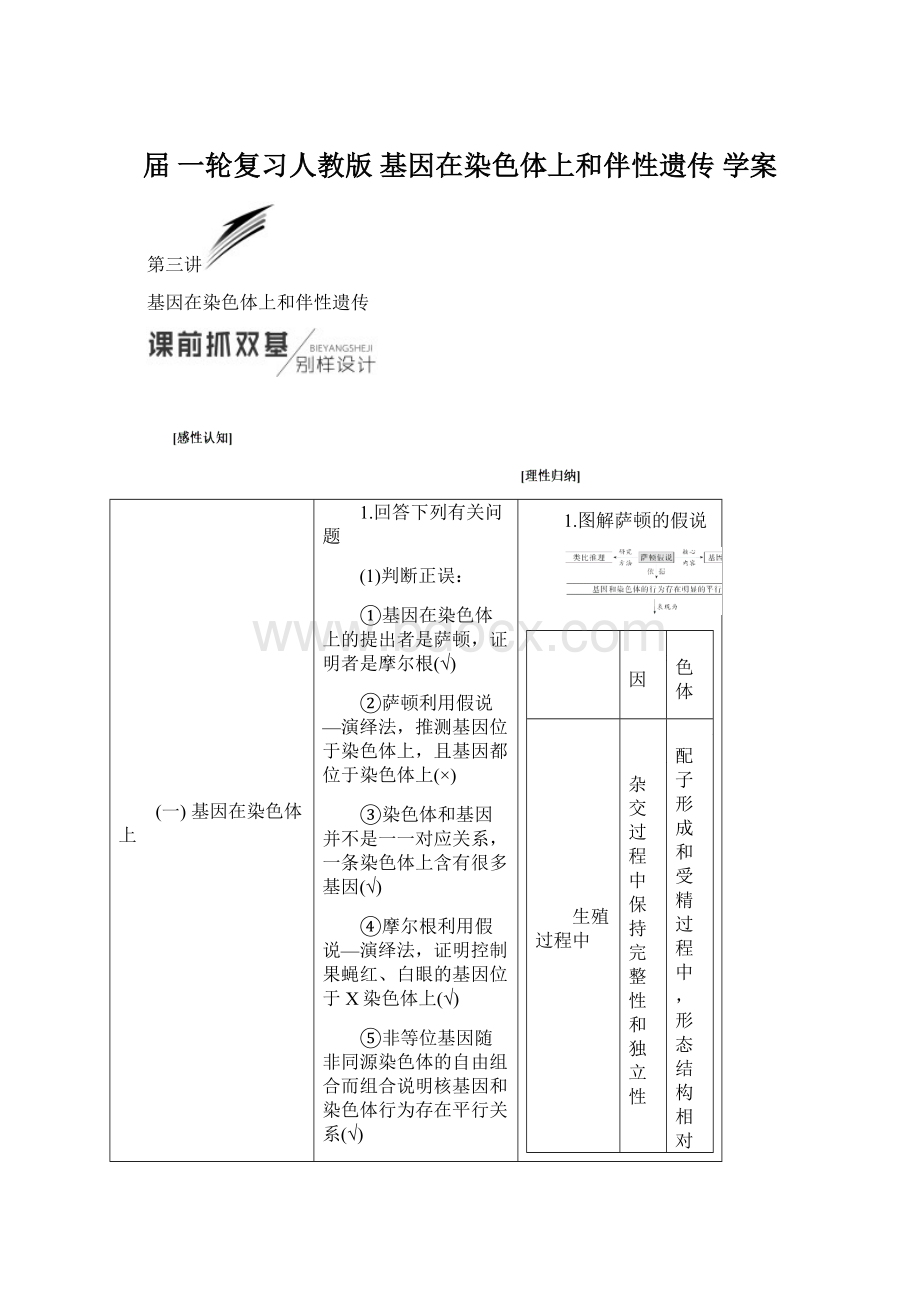 届 一轮复习人教版 基因在染色体上和伴性遗传 学案文档格式.docx_第1页