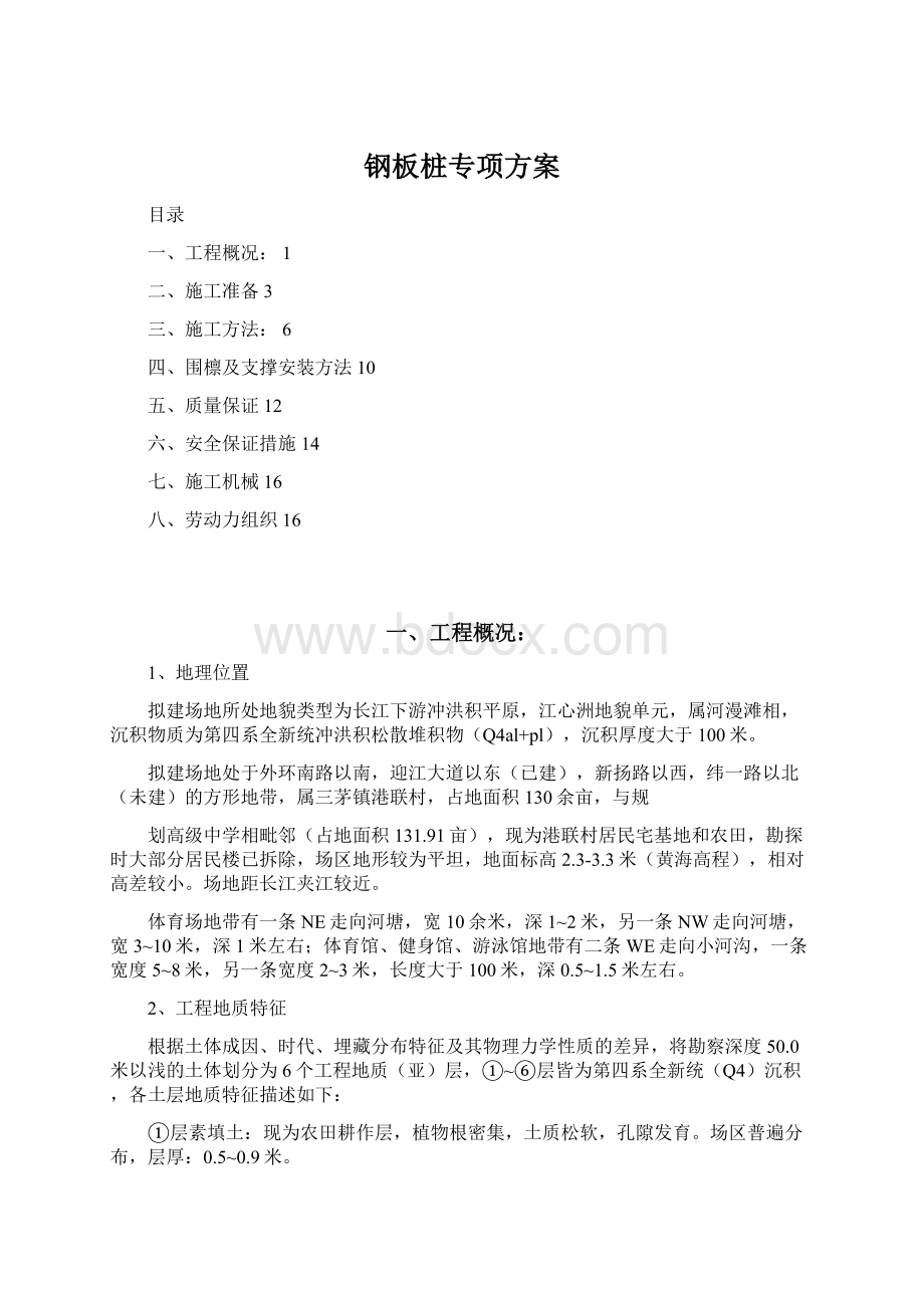 钢板桩专项方案Word格式.docx