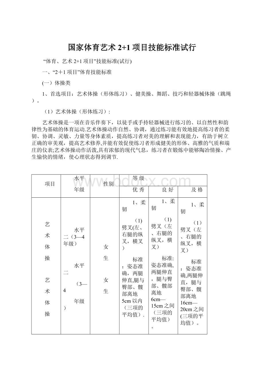 国家体育艺术2+1项目技能标准试行.docx_第1页