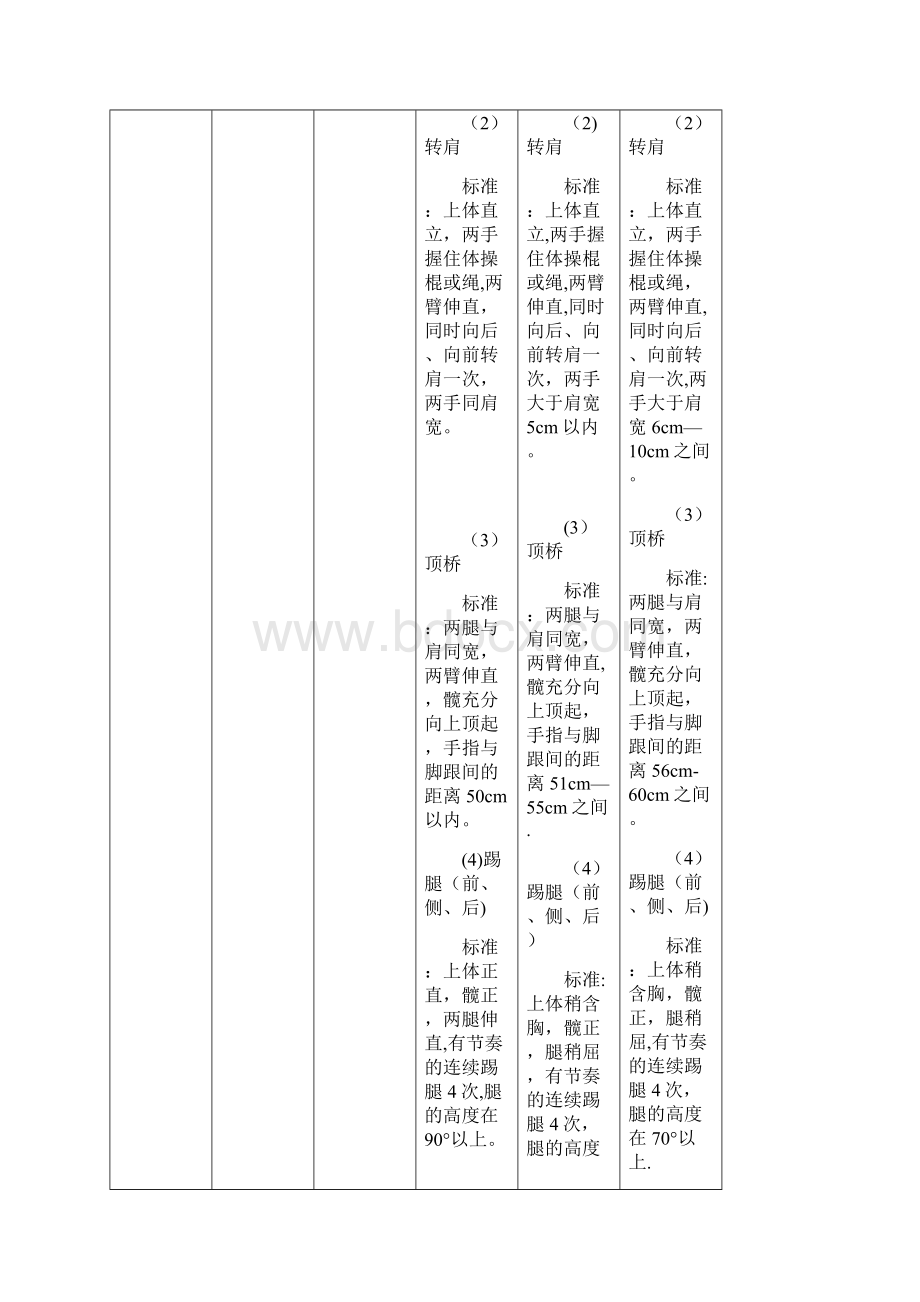 国家体育艺术2+1项目技能标准试行.docx_第2页