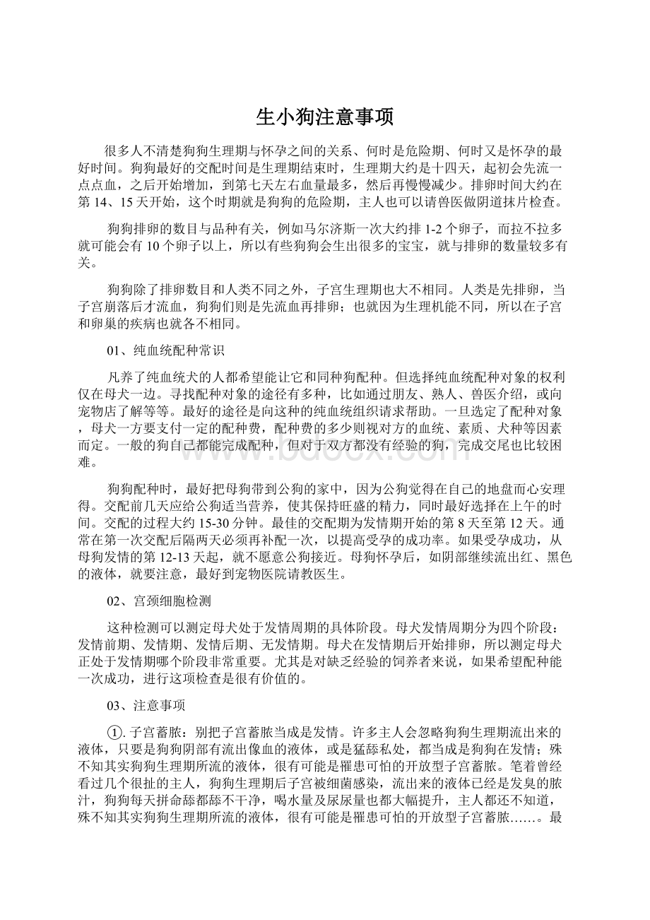 生小狗注意事项.docx_第1页