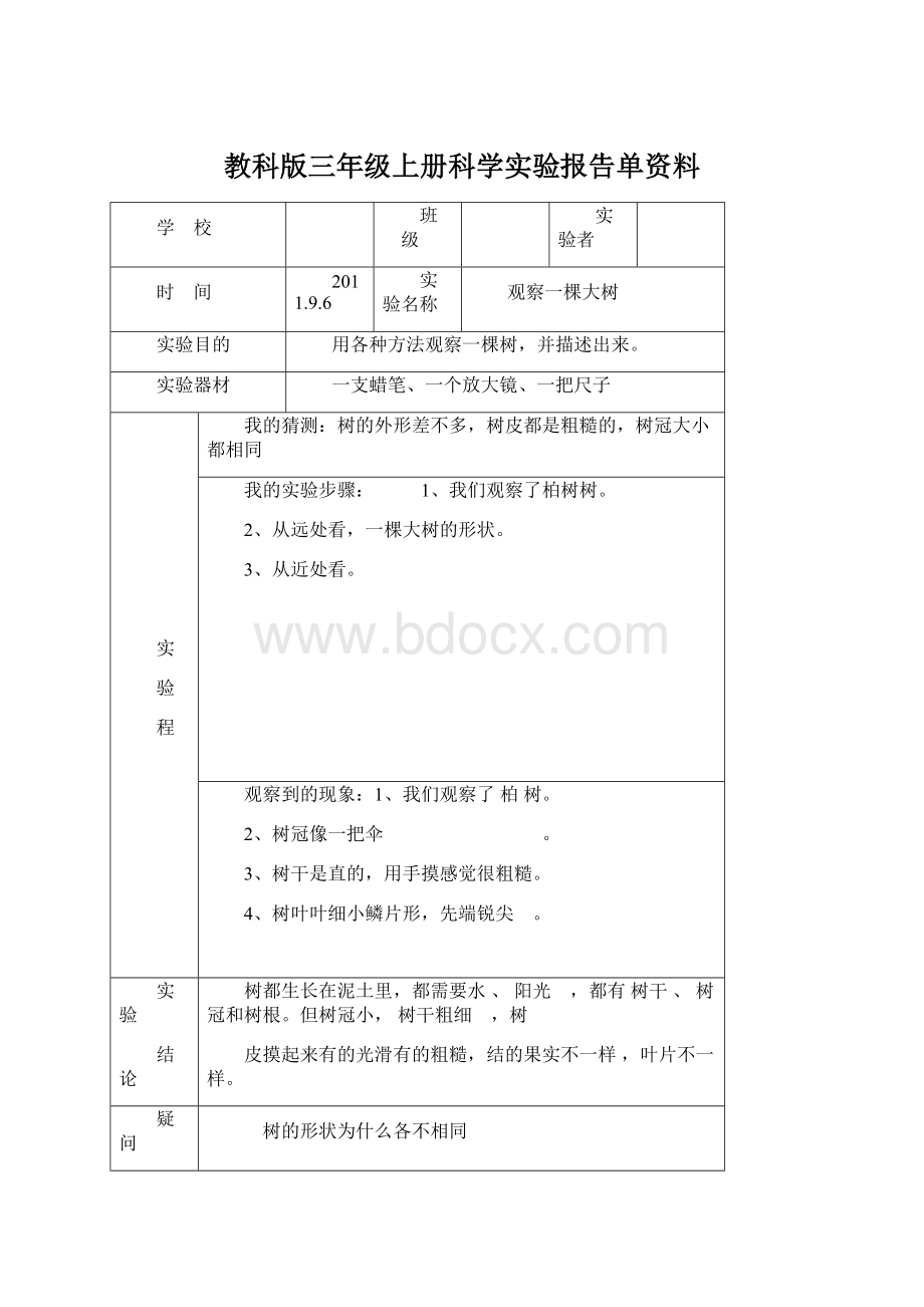 教科版三年级上册科学实验报告单资料.docx